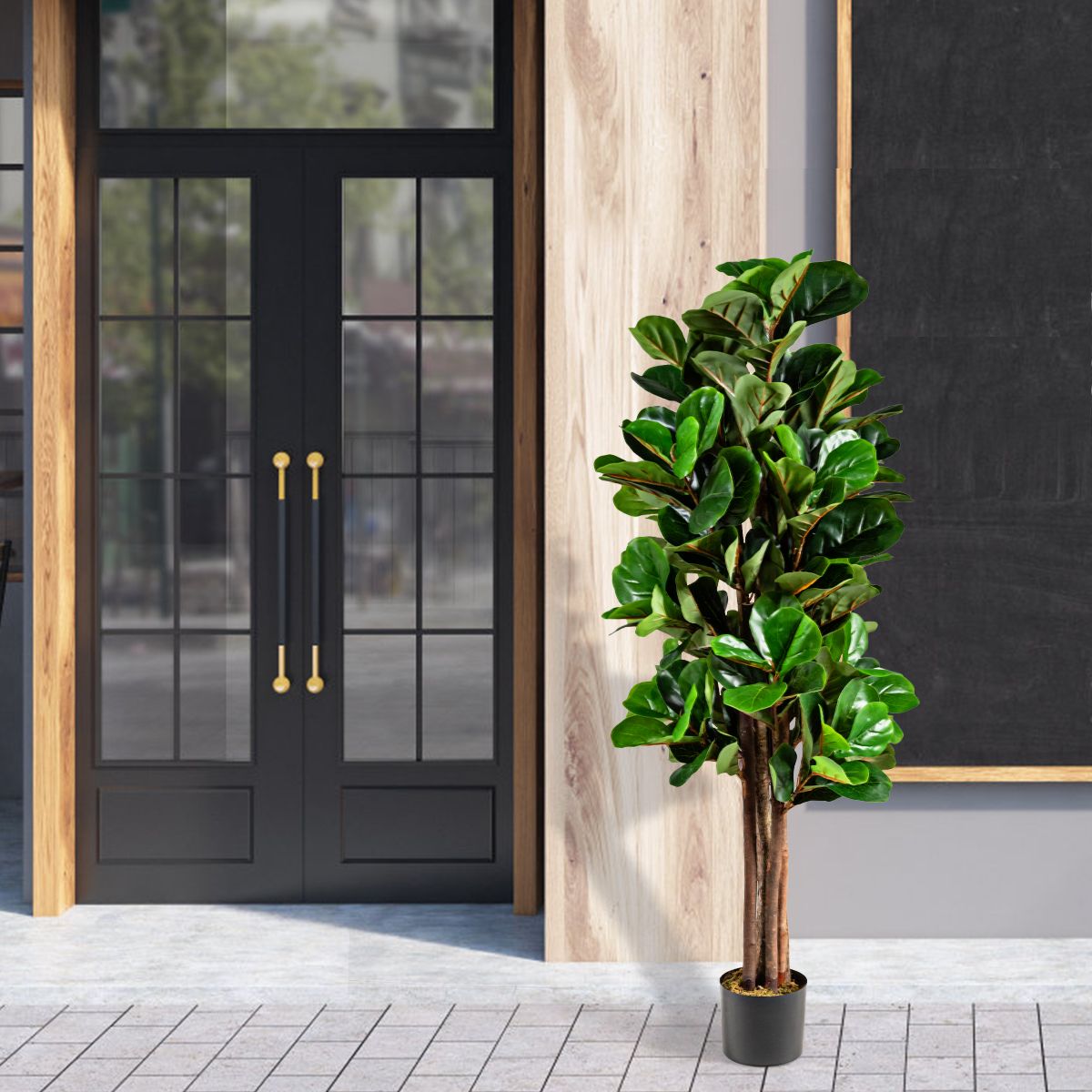 Botanic Collection Vioolblad Plant (Ficus Lyrata) 150 cm – 180 Bladeren - Afbeelding 3